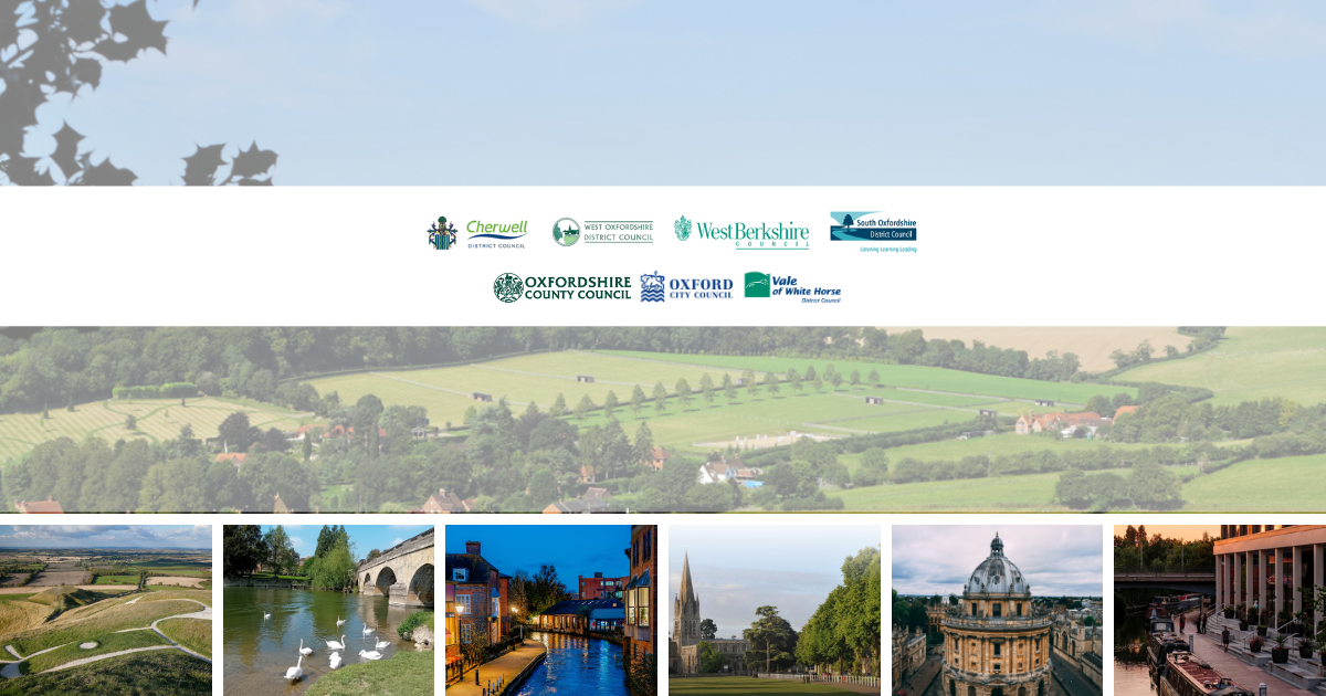 Local councils in our area are changing (5)