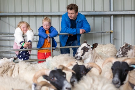 Woolly Weekend at the National Museum of Rural Life. Photo © Ruth Armstrong (5)