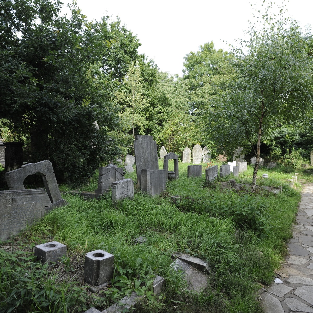 abneypark.jpg