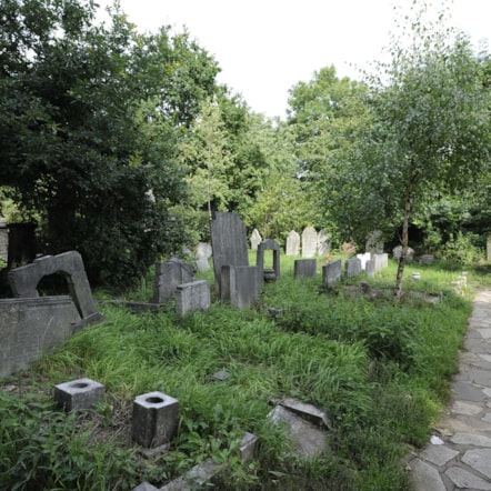 abneypark.jpg