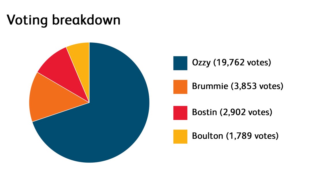 Voting breakdown pie chart-2
