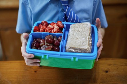 Getty Images - 2018 19 - Education - healthy lunchbox - 860582418