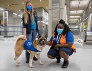 TfL Image - CSS Priscilla Smartt with canine VIP visitors to Battersea