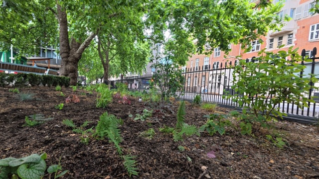 New plants installed in the Euston station Railway 200 Garden: New plants installed in the Euston station Railway 200 Garden