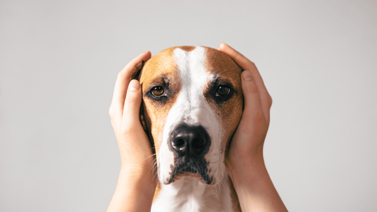 GoCo Press office photos-5