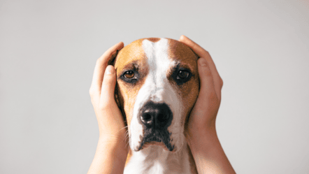 GoCo Press office photos-5