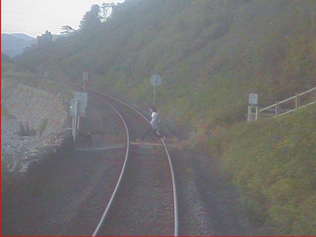 Harlech cliffs near miss man and dog 31 July 2022