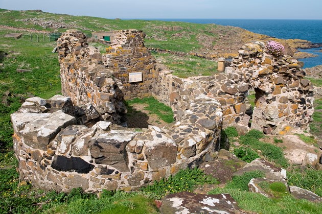 Isle of May NNR hosts archaeological exhibition: IofMay-D3136 - priory