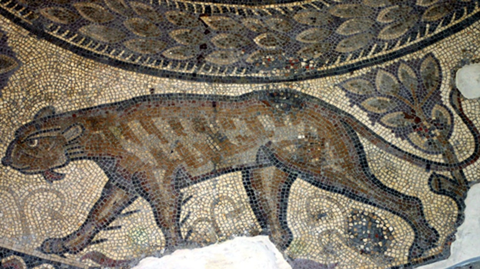 Part of the Orpheus Mosaic at the Corinium Museum-2