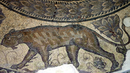 Part of the Orpheus Mosaic at the Corinium Museum-2