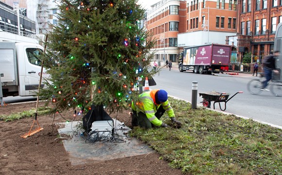 Enhanced wildflower turf laying, station roundabout