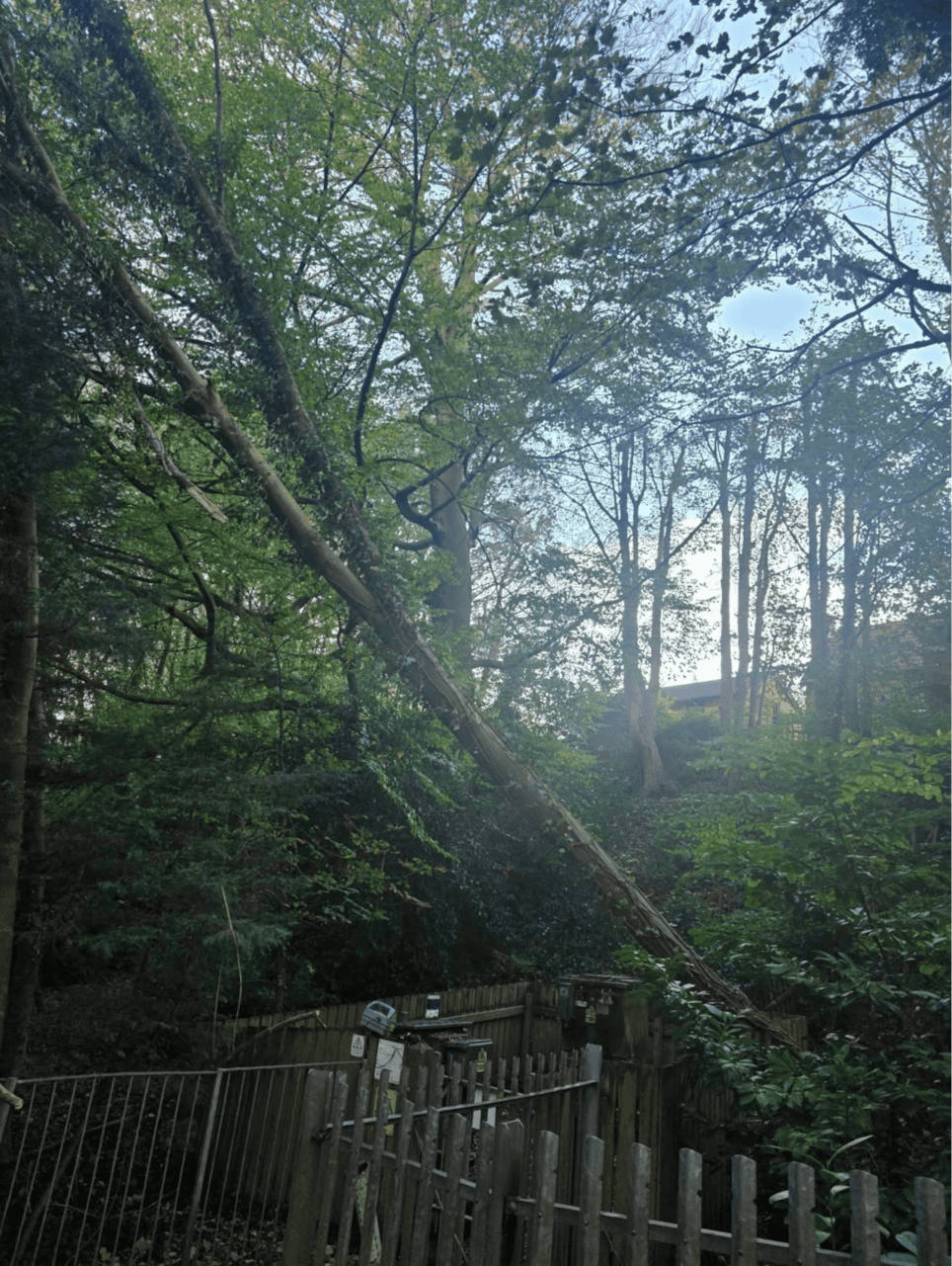 Fulwood (1): Fulwood (1)