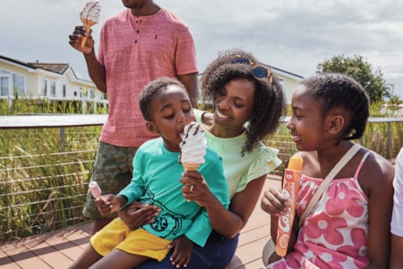 Bertie's ice cream at Hopton