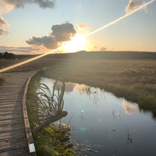 Blawhorn Moss - Sunset at Blawhorn Moss NNR m199760 - credit SNH