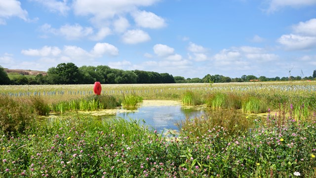 East West Rail Alliance putting the environment first: East West Rail habitat creation