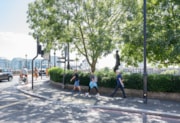 TfL Image - Walking in London 2: TfL Image - Walking in London 2