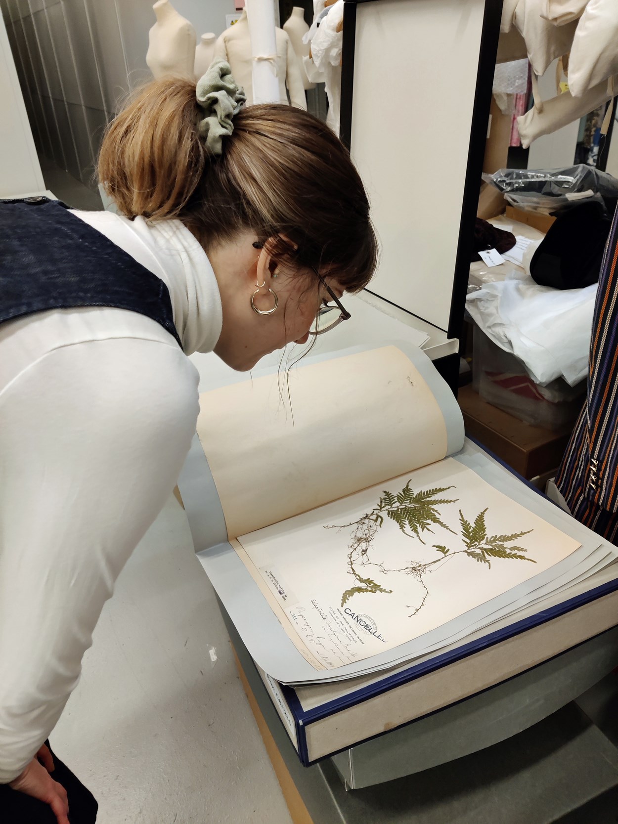 Museum Lates: Leeds Museums and Galleries' audience development officer Sara Merrit examines one of the herbarium sheets from the city's vast collection.