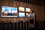 Image - Wildlife Photographer of the Year Exhibition: Image - Wildlife Photographer of the Year Exhibition