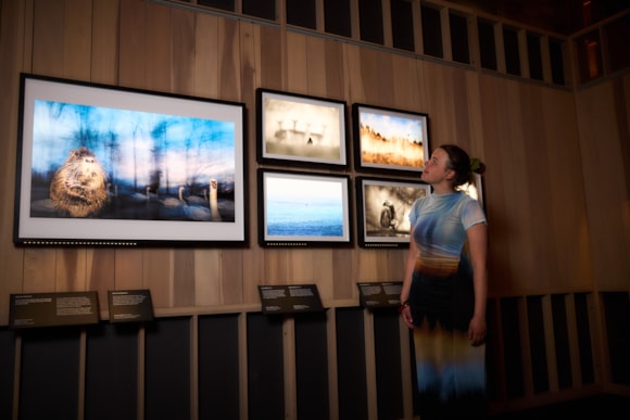 Image - Wildlife Photographer of the Year Exhibition