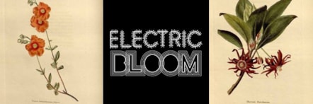 electricbloomlogo.jpg