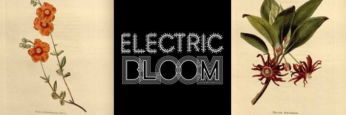 electricbloomlogo.jpg