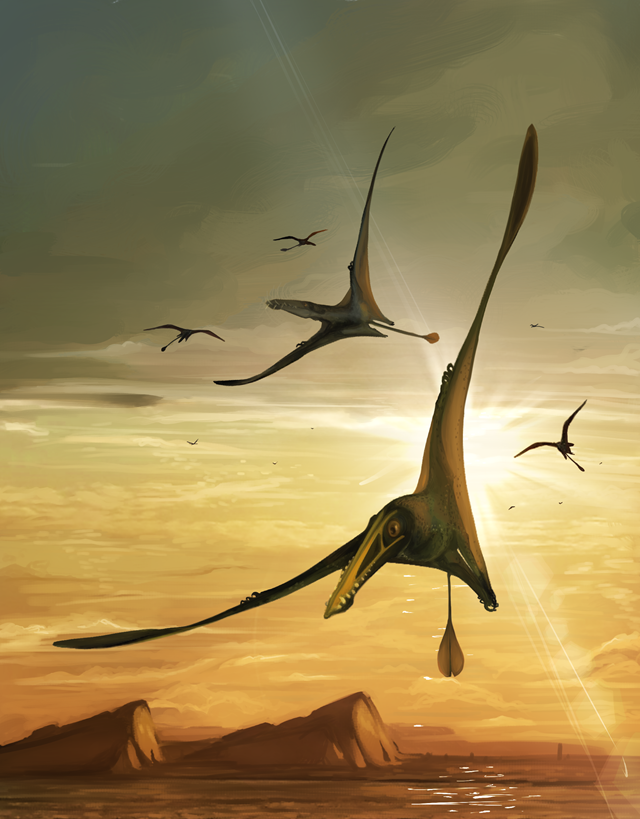 Skye Pterosaur Art 1 (credit Natalia Jagielska)