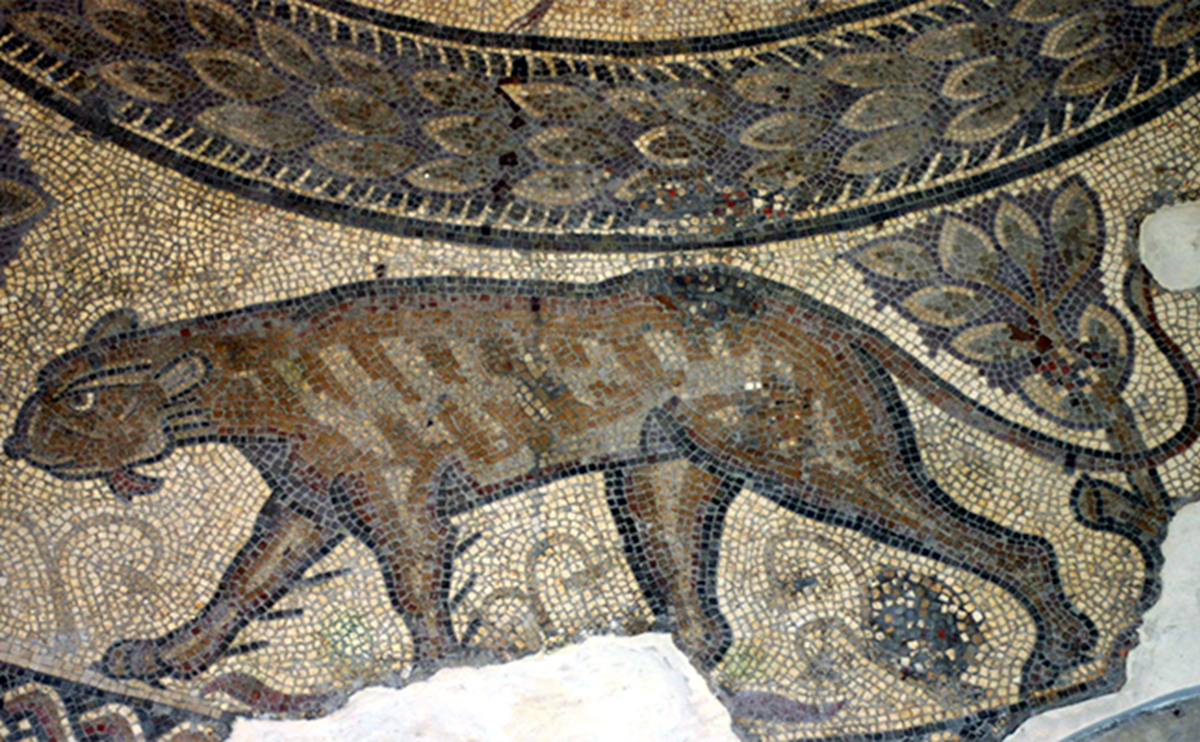 Part of the Orpheus Mosaic at the Corinium Museum-2