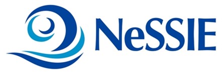 NeSSIE logo acronym SIZED