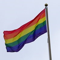 Rainbow flag-2