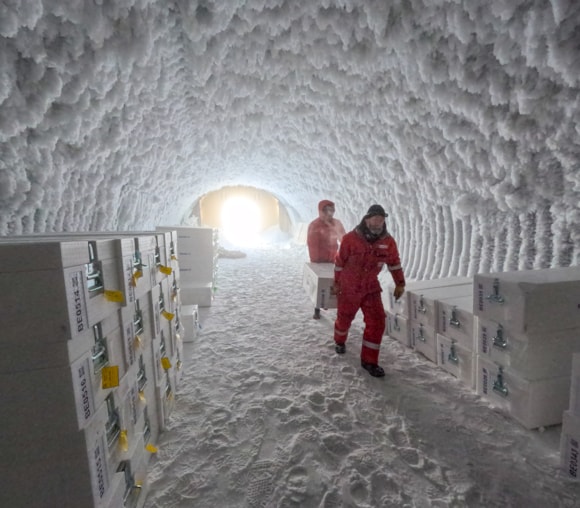Credit©PNRA IPEV Ice cores storage cave