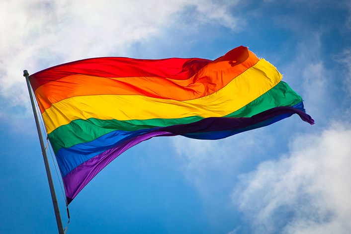 Chance to celebrate LGBT History Month at Leeds City Museum: rainbowflag.jpg