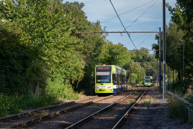 TfL Image - Greenery at London Trams Tram Tracks
