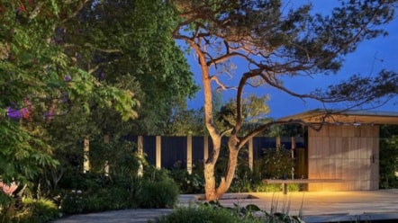 asthma lung uk breathing space garden at rhs chelsea flower show