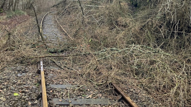 Storm Éowyn travel update: Joint update from Network Rail and Transport for Wales: Storm damage on the Heart of Wales line. December 2024-2