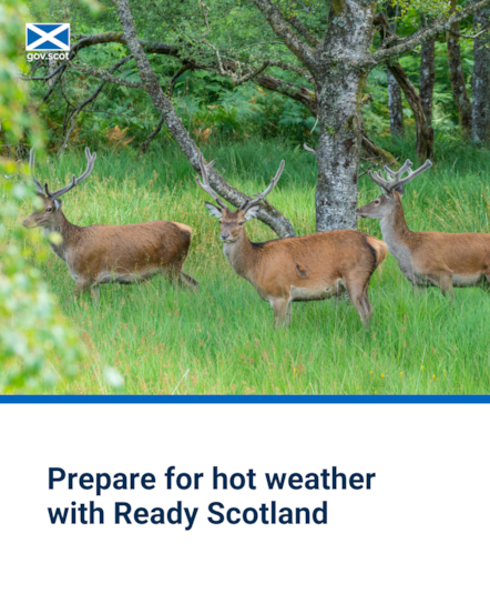 Deer - Portrait - Hot Weather - SG Resilience - June 2025