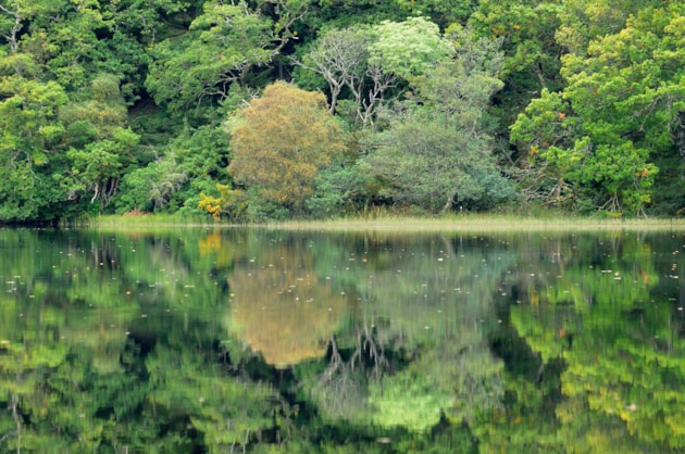 Loch Coille-Bharr in Knapdale ©Lorne Gill/NatureScot