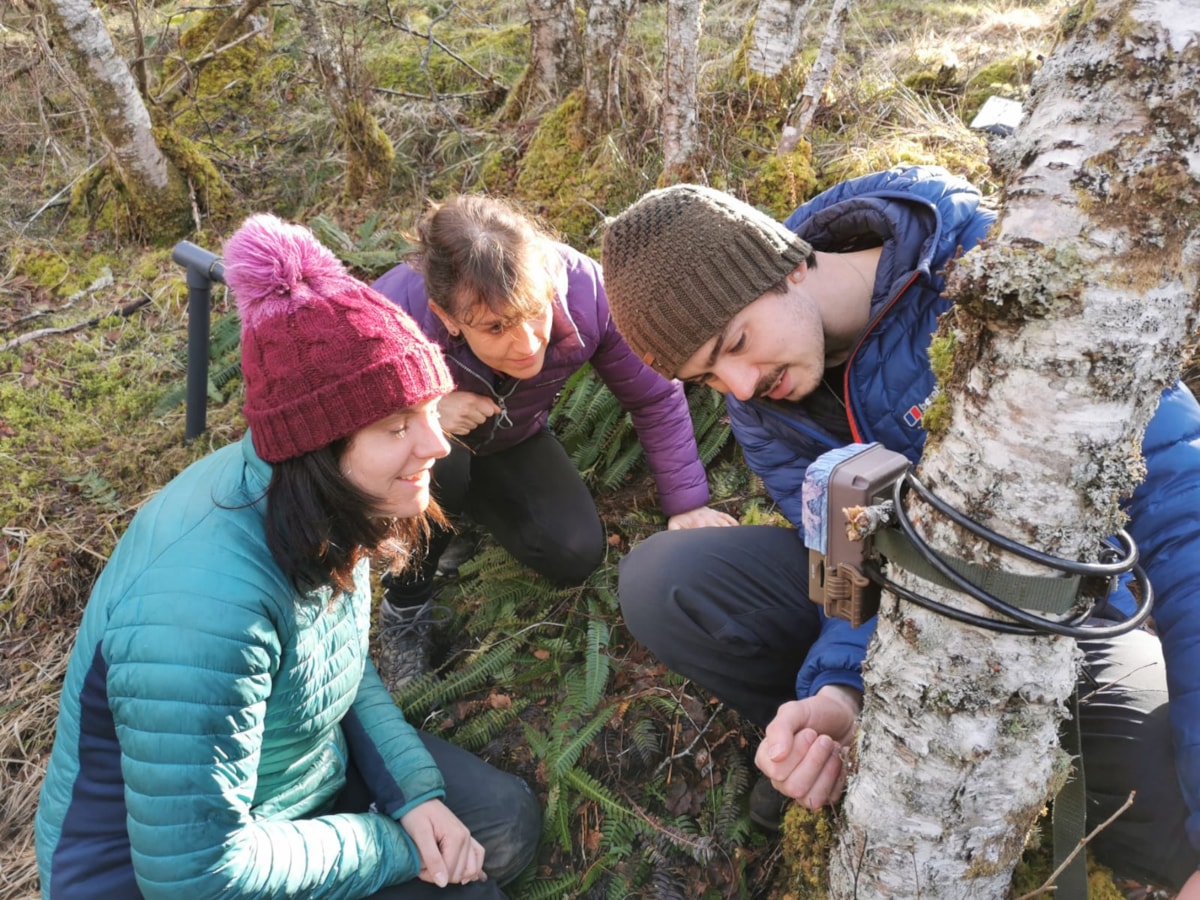 University of Cumbria students and project volunteers checking camera traps in the release area of south Cumbria, 2023
(Peter Howarth, Julia Sier, Heather Marples)
CREDIT: Mic Mayhew