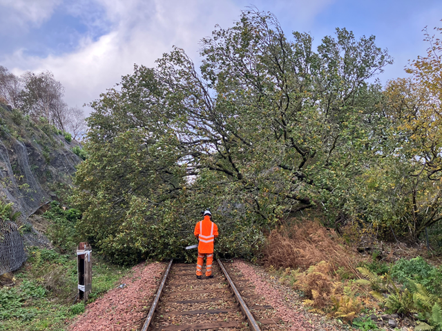Large tree blocks Oban line at Taynuilt: Stock image: A large tree blocks the Oban line at Taynuilt station. Network Rail staff pictured clearing the tree.