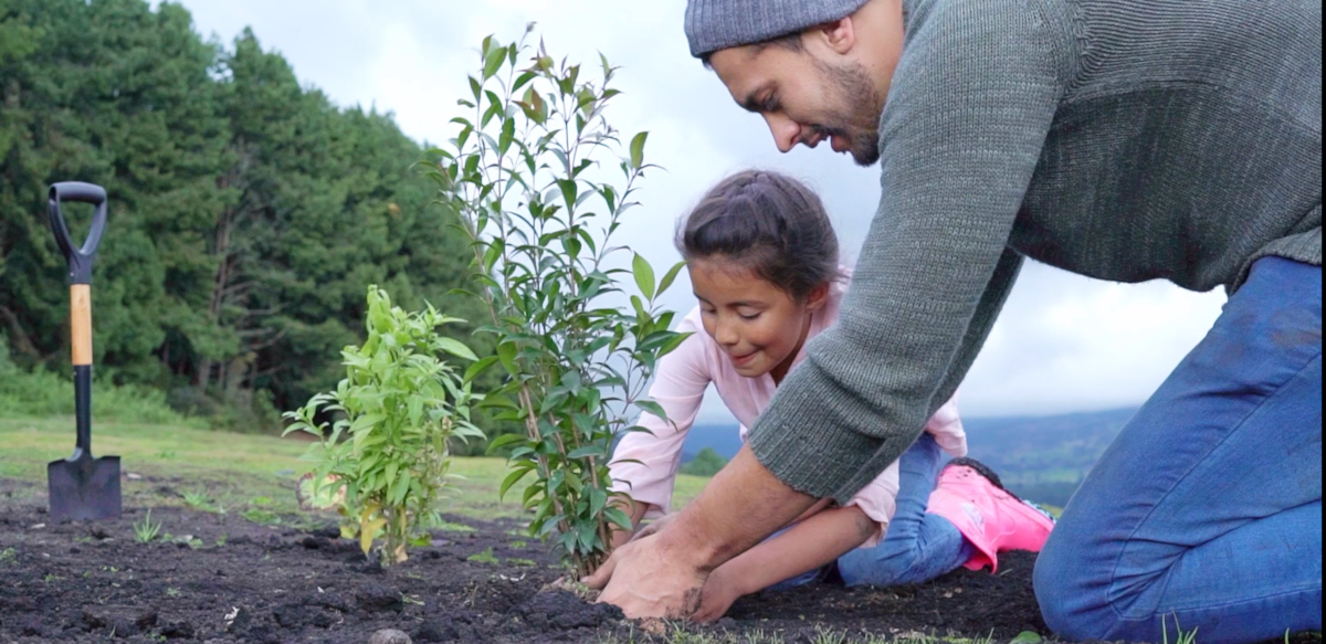 child and adult planting