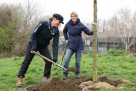 Cllr Champion (r) and Helena Farstad (l) plant the tree at Barnard Park