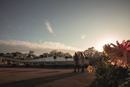 Gunton Hall Grounds