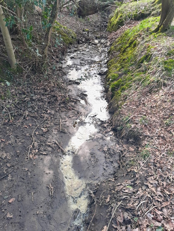 Natural Resources Wales investigates fish kill incident in River Rhymney tributary: Image one-4