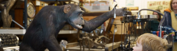 Discovery Day at Leeds Discovery Centre