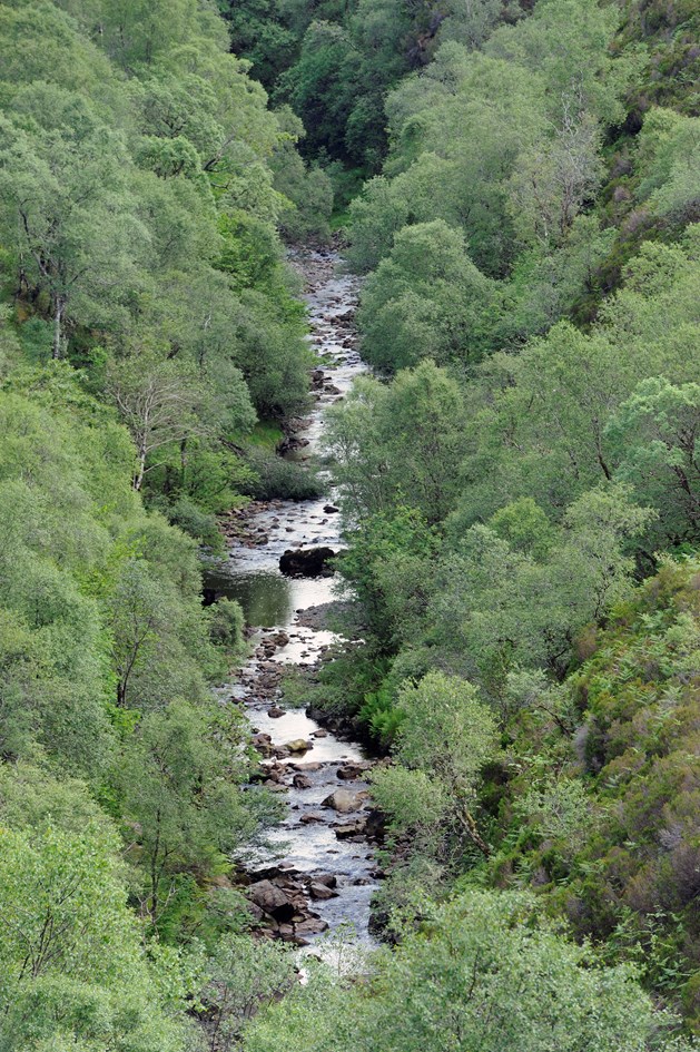 Abhainn Lusa, River Lusa near Kylerhea, Isle of Skye. Credit Lorne Gill-NatureScot