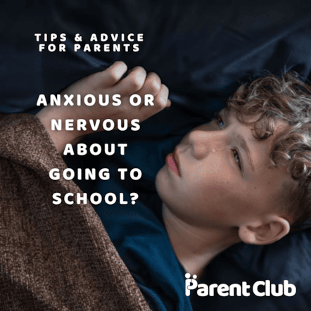 Image 2 - 1x1 - Static - School Attendance