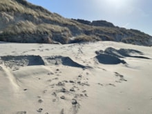 Tiree beach excavations 2 ©NatureScot: Tiree beach excavations 2 ©NatureScot