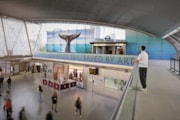 Ahmet Öğüt, ‘Saved by the Whale’s Tail, Saved by Art’, 2025, Stratford station. Commissioned by Art on the Underground and New Contemporaries. Photo: GG Archard.: Ahmet Öğüt, ‘Saved by the Whale’s Tail, Saved by Art’, 2025, Stratford station. Commissioned by Art on the Underground and New Contemporaries. Photo: GG Archard.