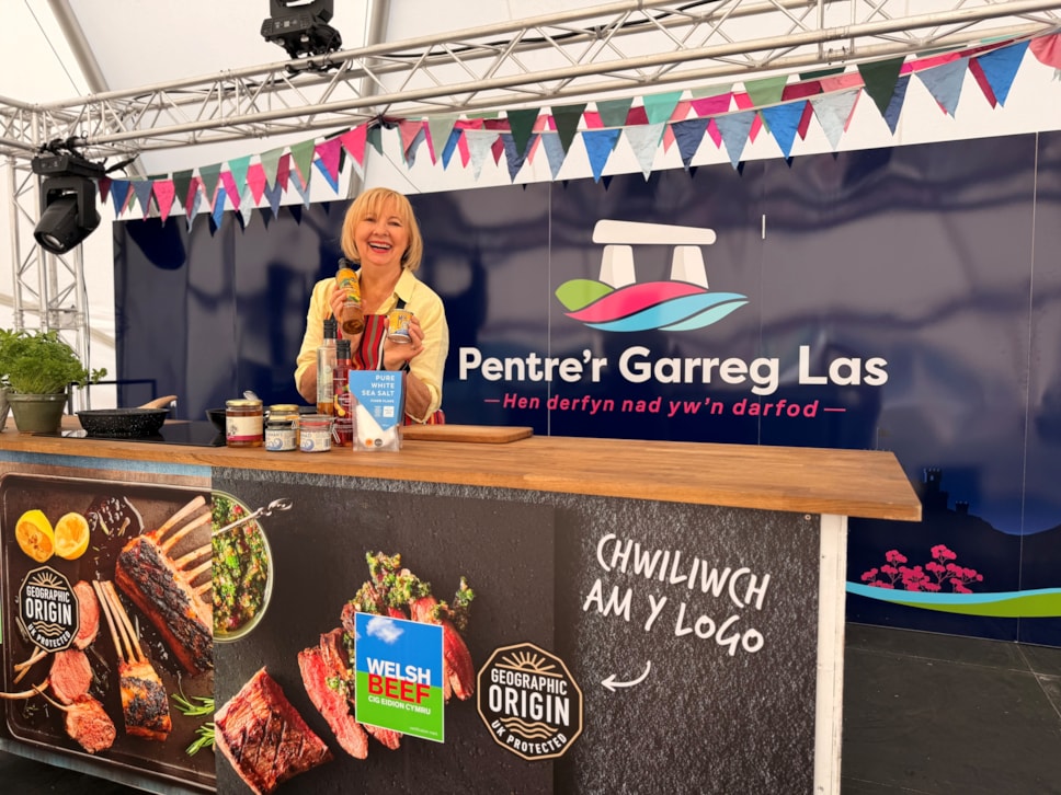 Nerys Howells Pentre'r Garreg Las