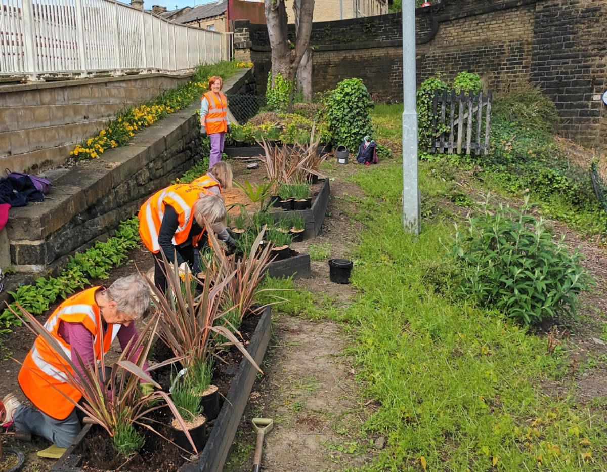 Image shows volunteers working on Brighouse station Climate Change Garden