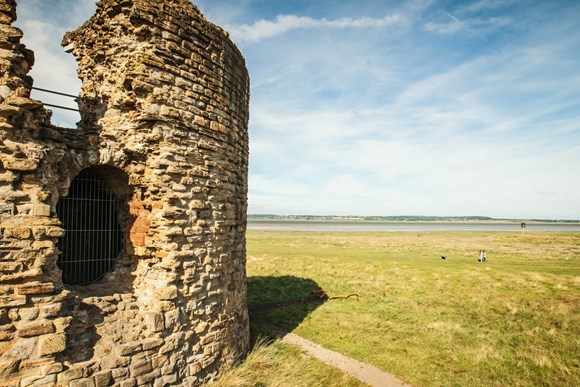 Flint Castle